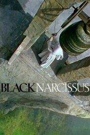 Narciso nero (1947)