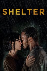 Shelter – senza dimora (2014)