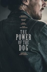 Il potere del cane (2021)